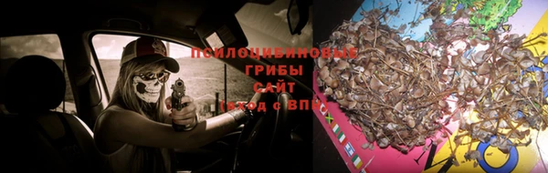 шишки Алексеевка