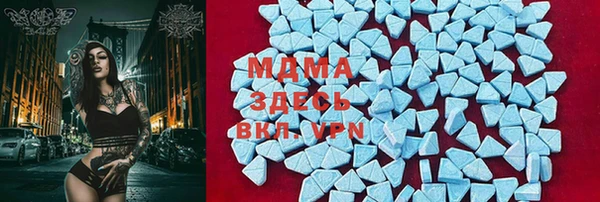 ECSTASY Алзамай