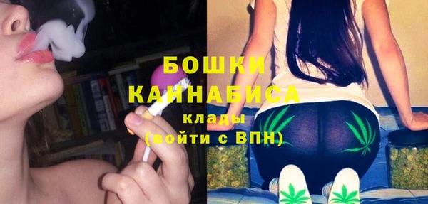 шишки Алексеевка