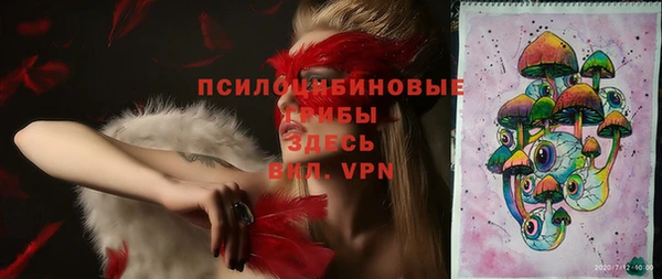 шишки Алексеевка