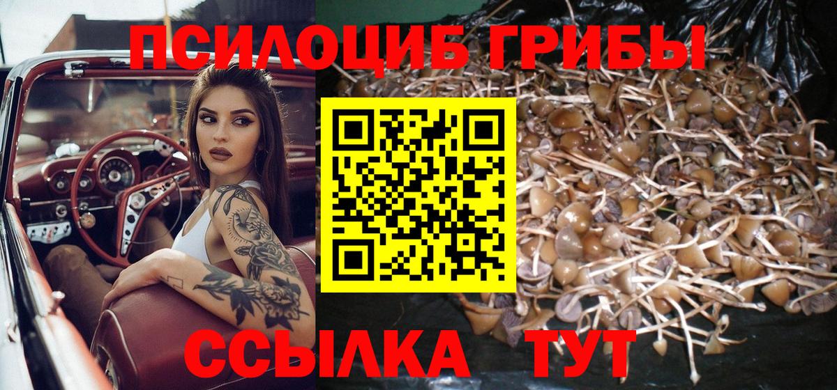 как найти закладки  Псилоцибиновые грибы Psilocybe  Вход с VPN  Беслан 