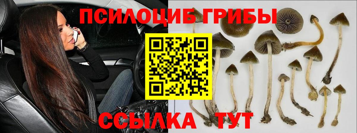 Галлюциногенные грибы прущие грибы Беслан
